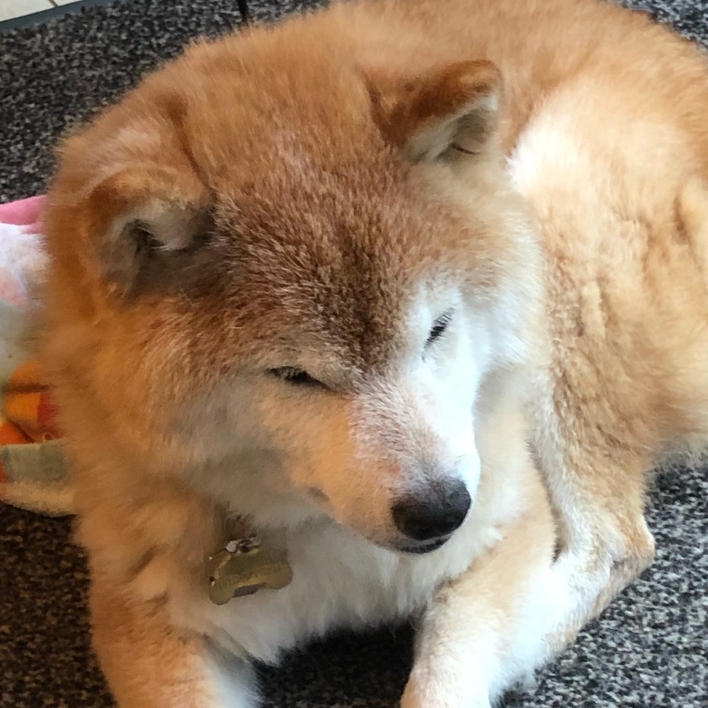 Meet your Posher, Michele